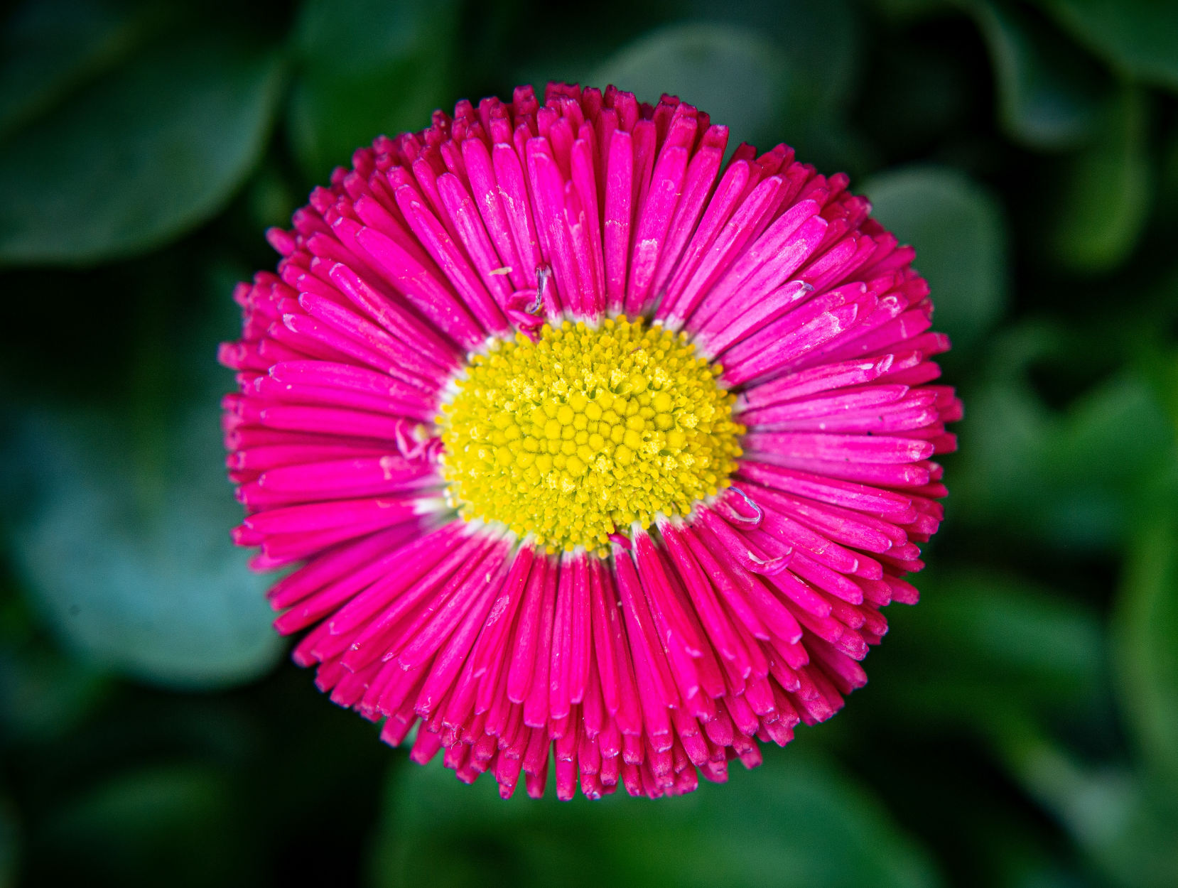 Time to garden